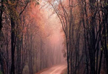 宝马M2 xDrive四驱版谍照曝光 动力表现更强 预计明年发布