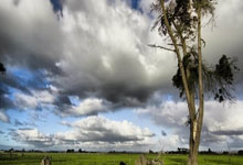 宝马M2 xDrive四驱版谍照曝光 动力表现更强 预计明年发布