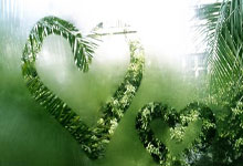 宝马M2 xDrive四驱版谍照曝光 动力表现更强 预计明年发布