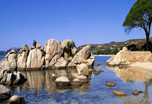 宝马M2 xDrive四驱版谍照曝光 动力表现更强 预计明年发布